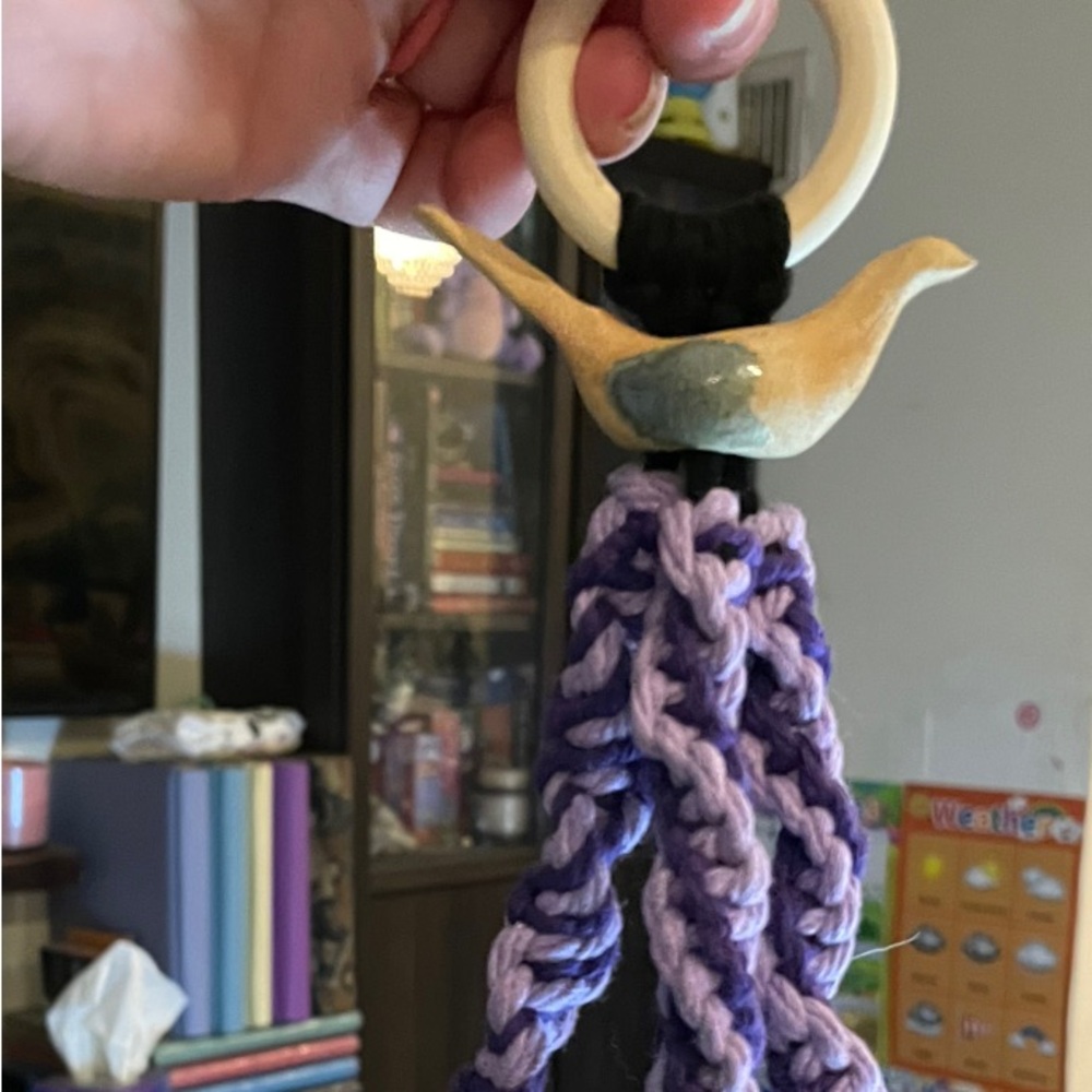 Handcrafted Bird Macrame Plant Hanger